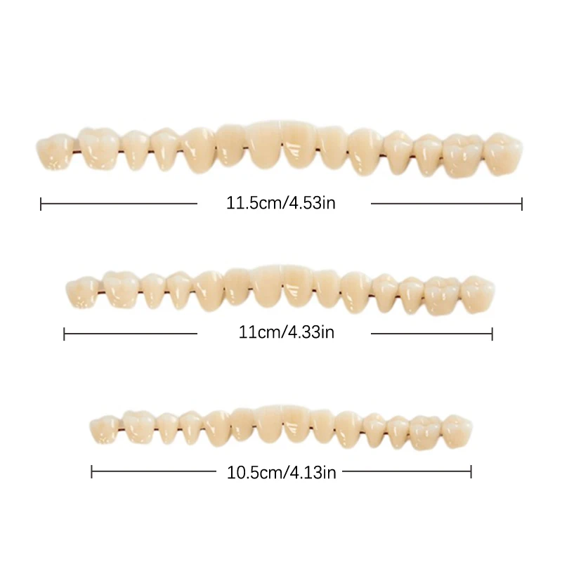 3size Universal Resin False Teeth Resin Model Durable Dentures Dental Material Teeth Teaching Model Dedicated Teeth