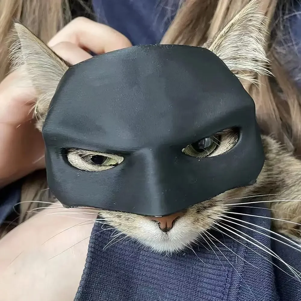 TONG Cat Bat Cool Man Matte Mask - Cute Superhero Pet Mask for Cats And Dogs Avenger Inspired Cat Avenger Toy