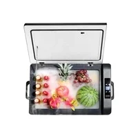 High Quality Waeco Mini Portable Refrigerator 12V/24V Small Compressor Car Fridge Cooler