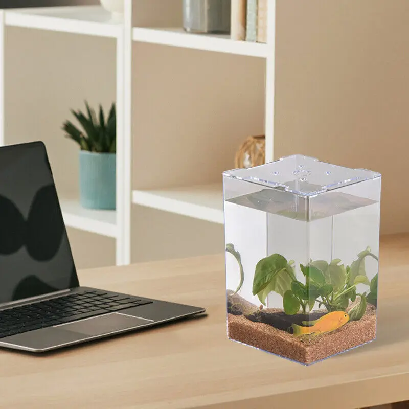 Petit aquarium carré transparent pour la décoration intérieure, récipient précieux pour poisson rouge, accessoire de bureau