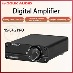 Цифровой усилитель Douk Audio NS-04G PRO, Hi-Fi 2,0 каналов, мини-усилитель, класс D TPA3116, 100 Вт * 2 для динамиков