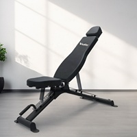 Fitness Equipment Body Building Flat Incline Decline Bench Adjustable Weight Multi-functional Sit up Bench