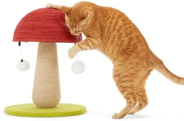 Toadstool Scratch Post for Cats