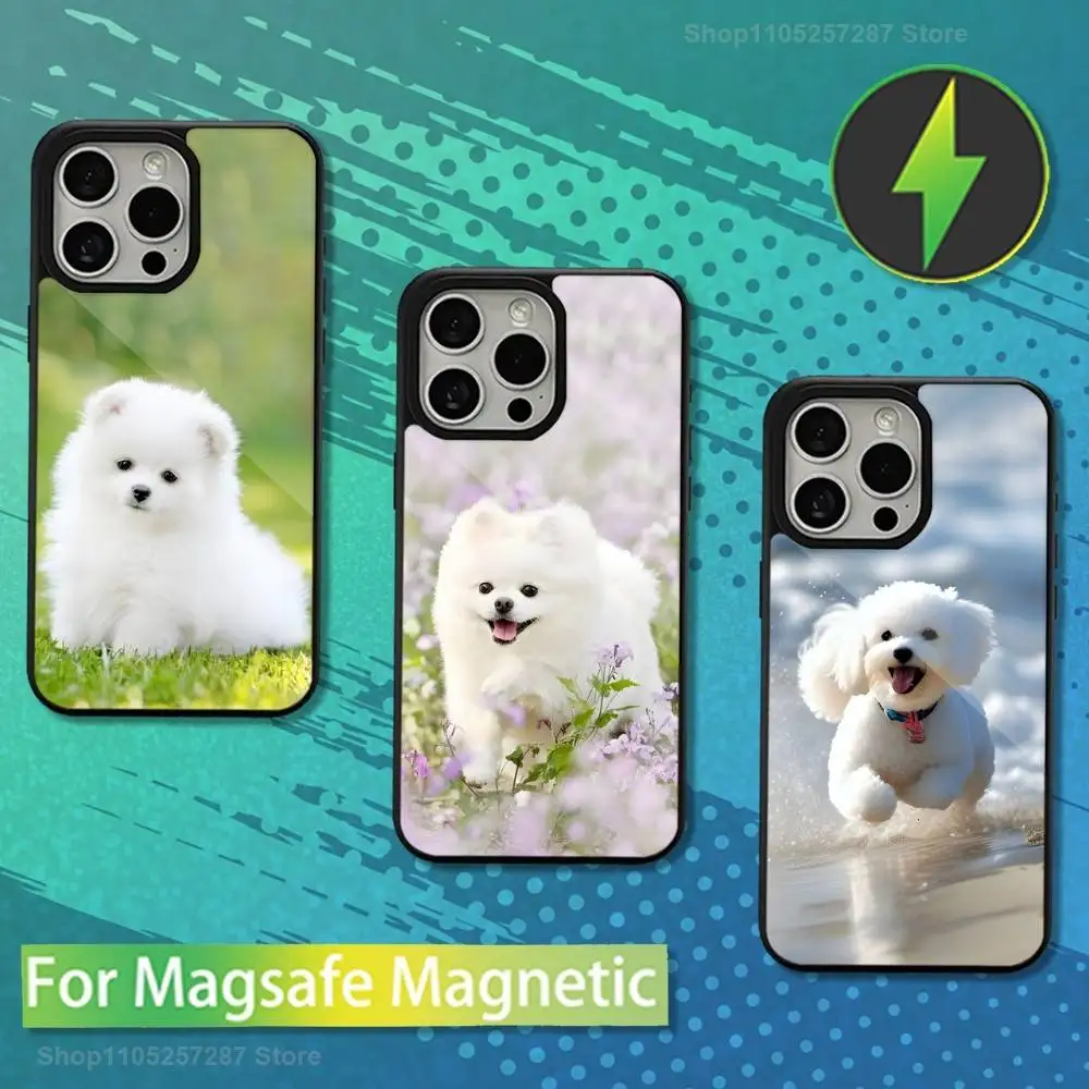 

Cute Maltese Dogs Case For iPhone Mini,13,Max,17,14,Plus,12,11,15,Pro,16,For Magsafe,Magnetic Wireless Charging