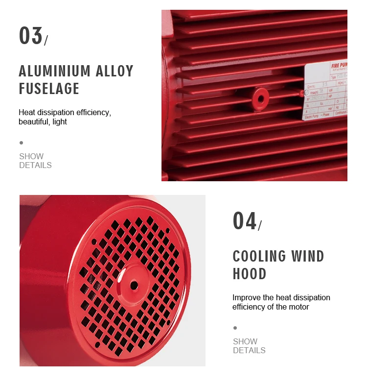 Рисунок 5 - Серия Pstf, электродвигатель высокого давления