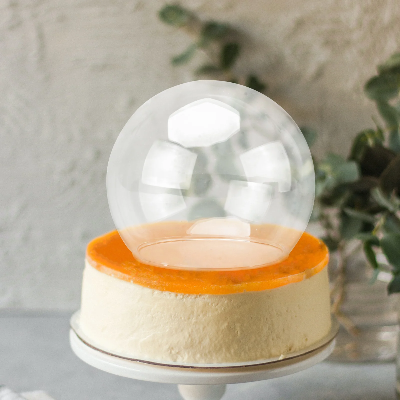 

1Pcs Clear Glass Dome Cover Transparent Glass Bell Jar Display Case for Eternal Flower Micro Landscape Decor DIY Craft Gift