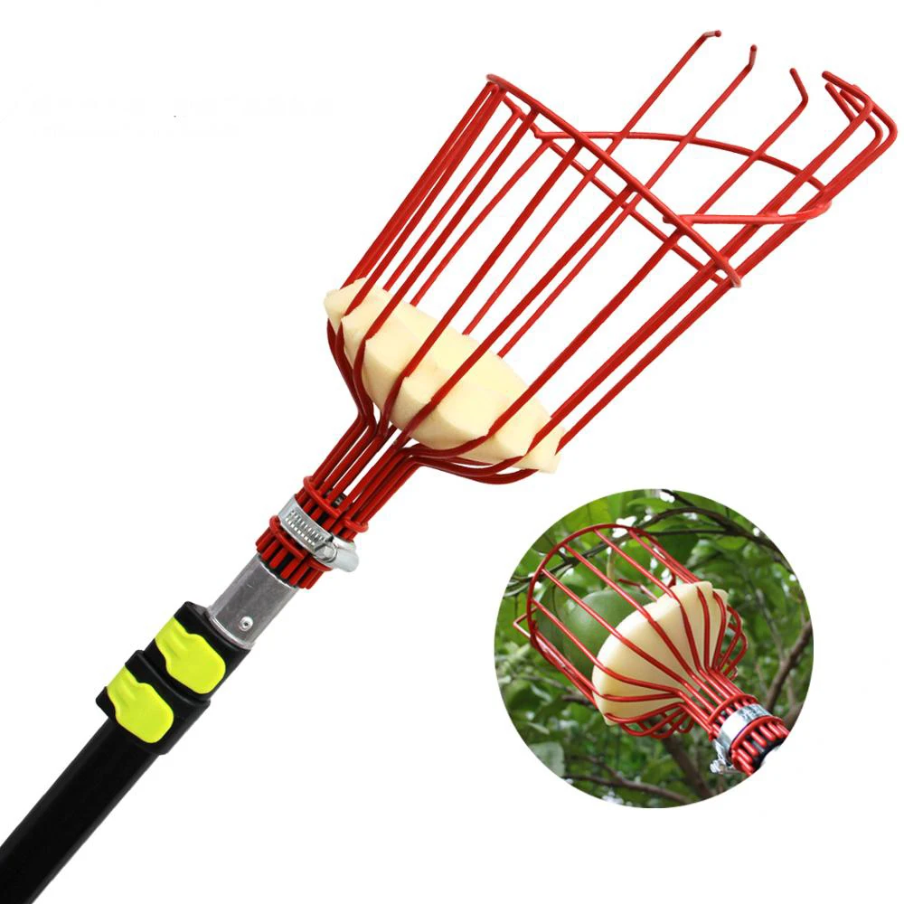 

Extentool Fruit picker basket with aluminum telescopic pole handle