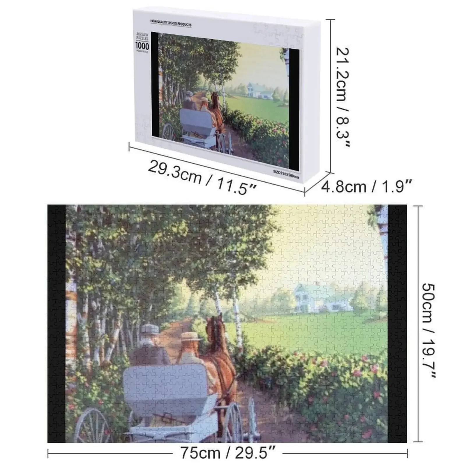 Anne With An E Jigsaw Puzzle Scatole di legno Puzzle regali personalizzati