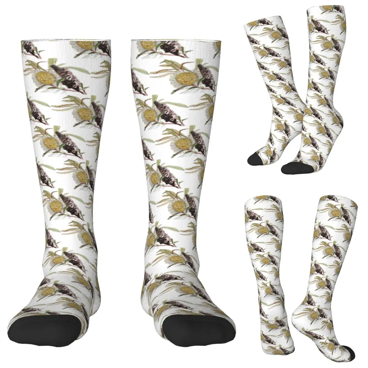 

Banksia Flower Pod Australian Flora Yellow Socks Harajuku Stockings All Season Long Socks Accessories for Unisex