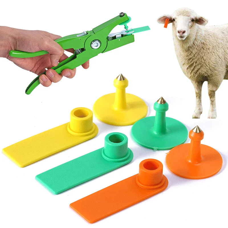 Sheep Ear Tag 100Pcs Without Words Flock of Goat Identity Recognition Livestock Ear Tag Animal Husbandry Mark Tools Equipment