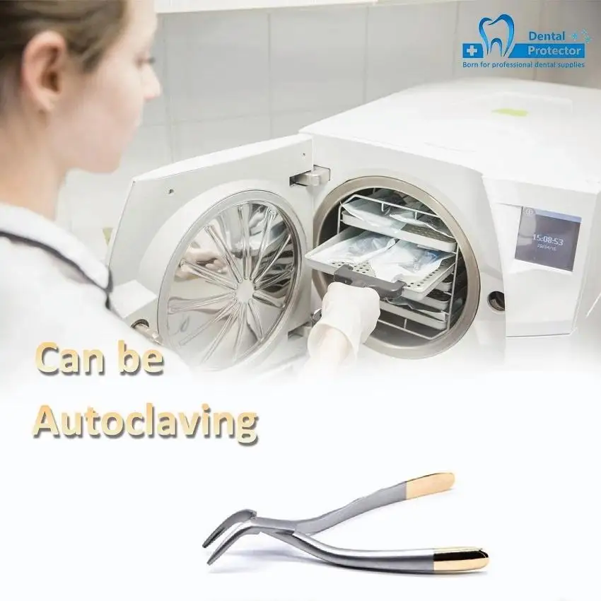 Pinza per estrazione dei denti per frammenti di radici dentali Pinza per strumento Strumento mandibolare maxillare curvo