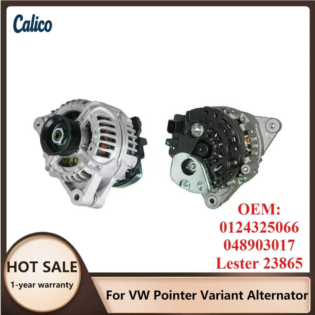

The Ultimate Details Are Suitable for VW Pointer Variant Alternator 0124325066 048903017 Lester 23865