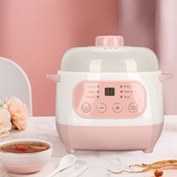 Electric Stew Pot 1L 200W Anti Dry Burn Safe Intelligent Electric Ceramic Cooker for Porridge Rice Soup EU Plug