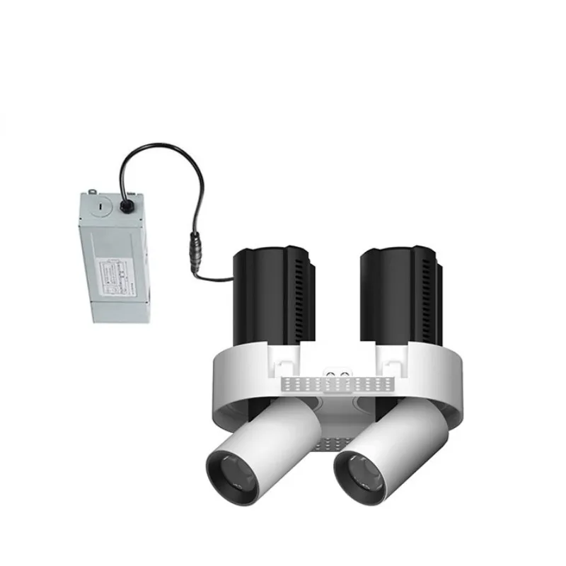 Beam Adjustable 2 Moving Heads ETL Listed 12W 20W 30W Recessed Frameless LED Spotlight Downlight