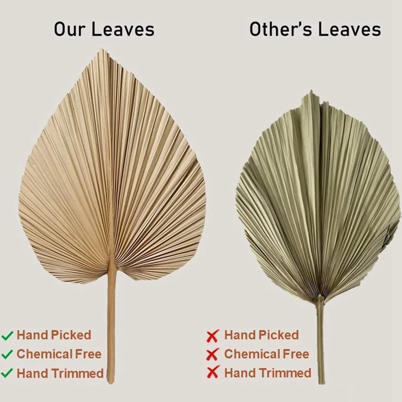 4 Pieces Home Furnishing Palm Leaves Perfect For Palm Leaf Decor, Boho Decor, Home Decor, Wedding - Detail 1