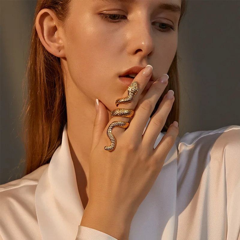 Foxanry Silver Color Snake Geometric Rings For Women Couples Punk Hip Hop Vintage Exaggerated Personality Party Jewelry Gifts