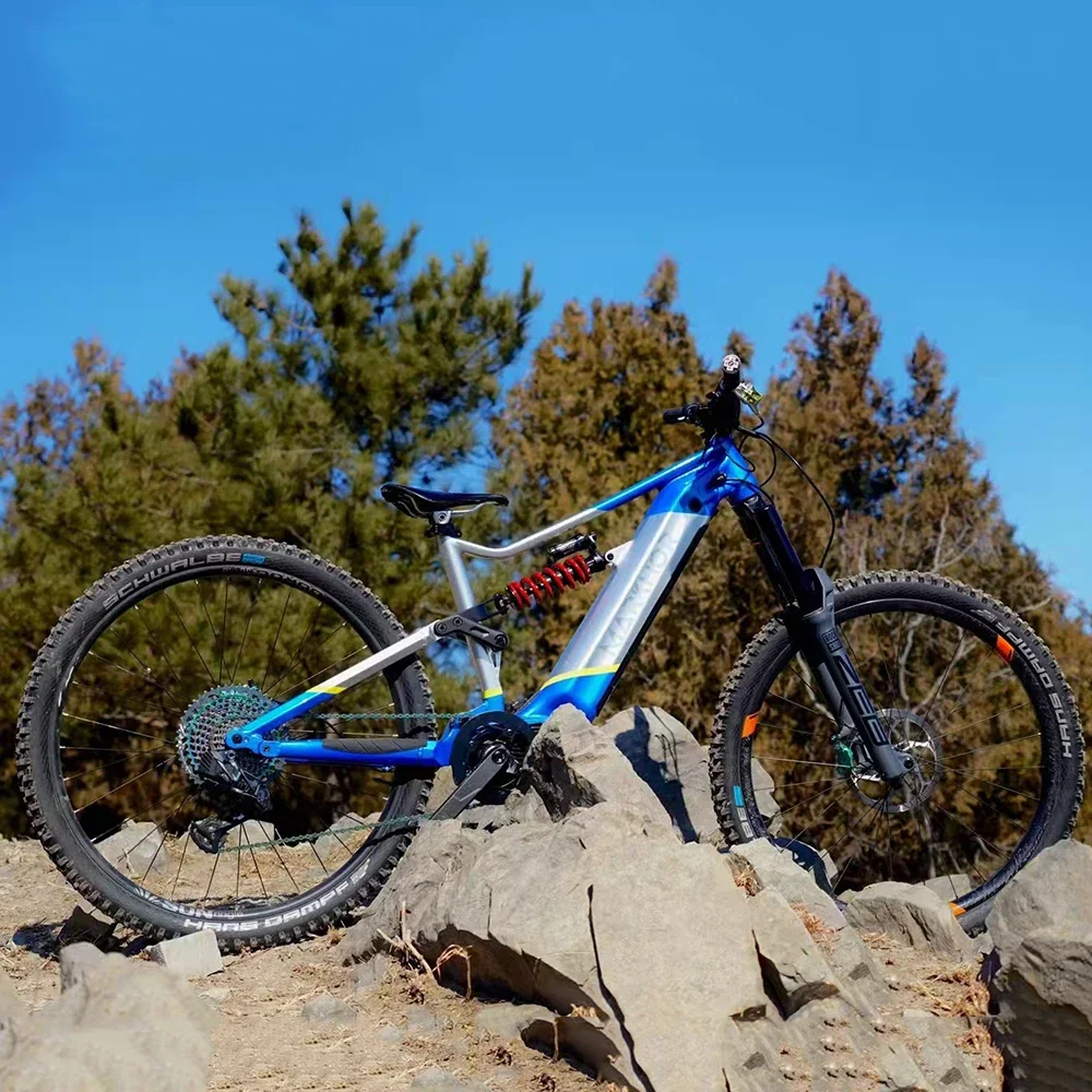 Z Speed Internal Li… - image