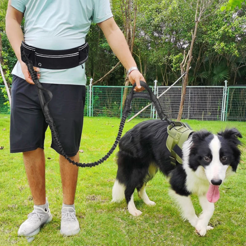 New Explosion Proof Running Waist Mounted Dog Leash Nylon Reflective Multifunctional Retractable Sports Waist Bag Pet Leash