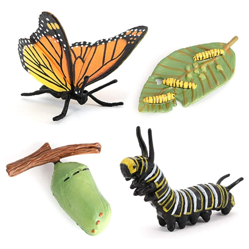 New Butterfly Life Cycle Board Set Lifestyle Stages Kids Teaching Tools Animal Growth Cycle Educational Toys