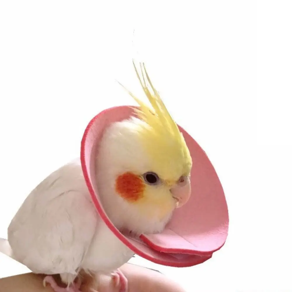 Anti-peckin for Bird Neck Protective Anti-bite Parrot Elizabethan Circle Bird Recovery Collar Bird Neck Sleeve Bird Cloak