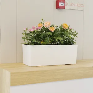 10 최고의 판매 BIG BONSAI POT -№6