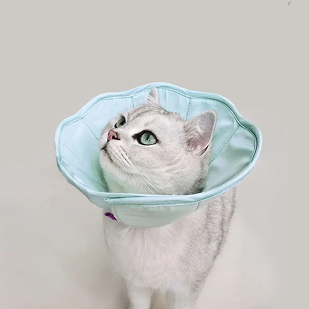 ¿Qué es el gato círculo y cómo puede beneficiar a tu mascota?
