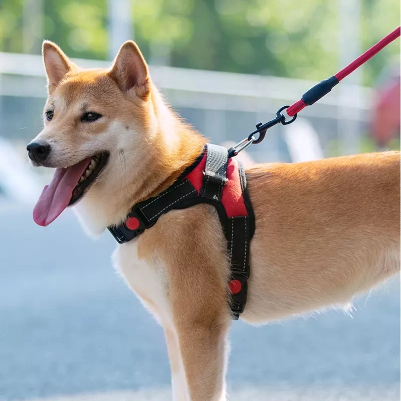 Honden Verstelbaar Harnas Klein En Groot Hondentuigvest, 150Cm Sterke Hondenriem Huisdier Riemen Reflecterende Riem Slepen Slepen Slepen