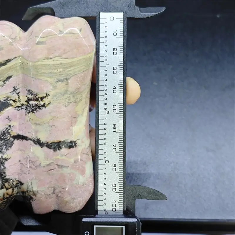 Natural Rhodonite Scorpion Carving Statue Crafts Animal Polished Healing Figurine Home Ornament Gift 1PCS