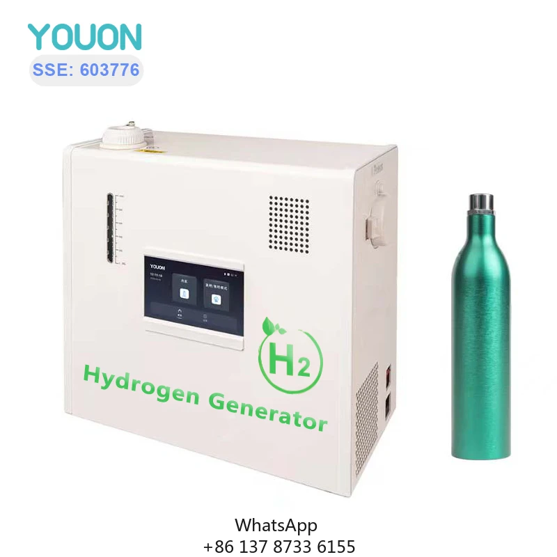 2025 LatestTechnology Compact Design Pem Hydrogen Water Machine Generator Pem Hydrogen Generator Hydrogen Fueling Station Backup