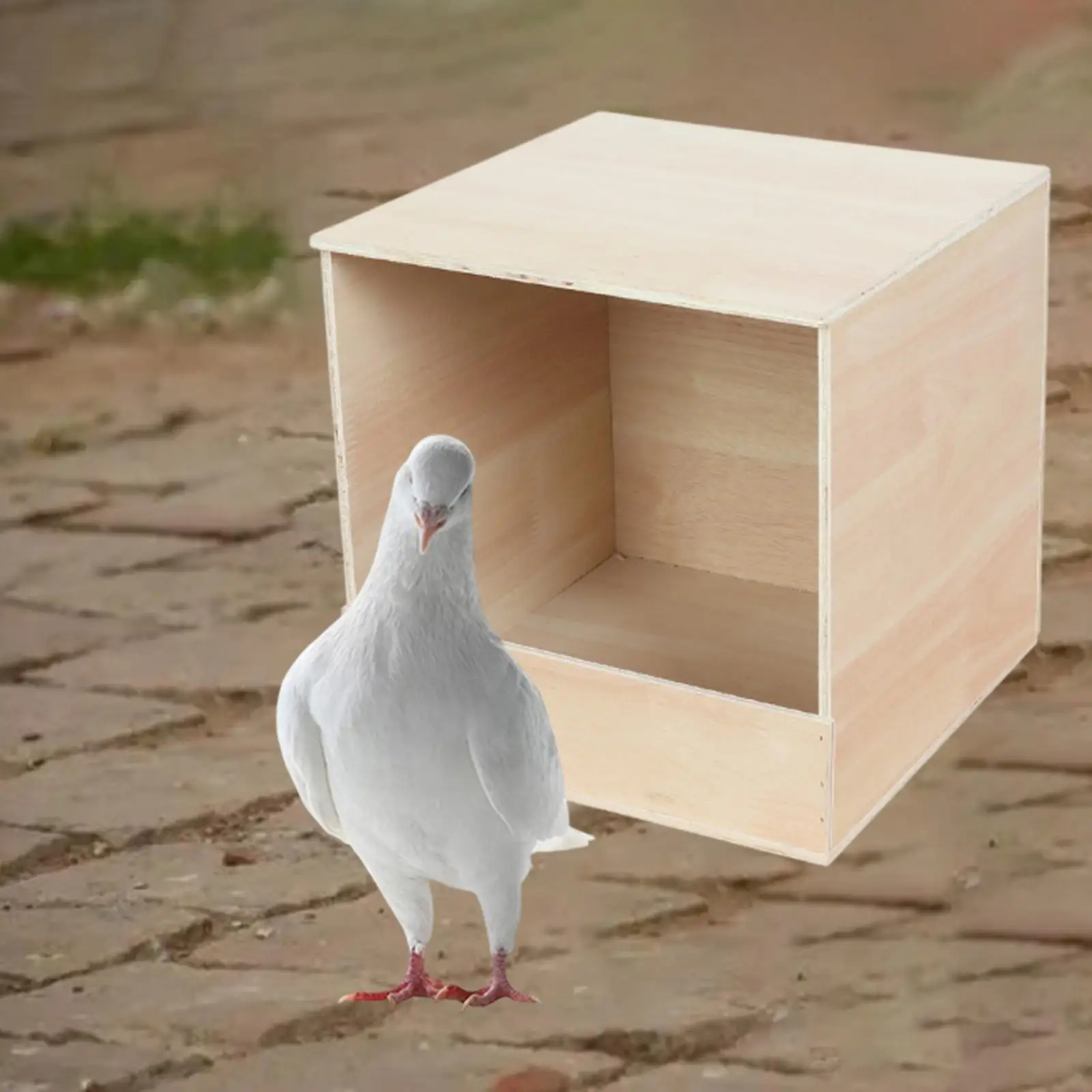 Parakeet Nesting Box Breeding Box Housing Bird Feeder Birds Box Wooden Parrot