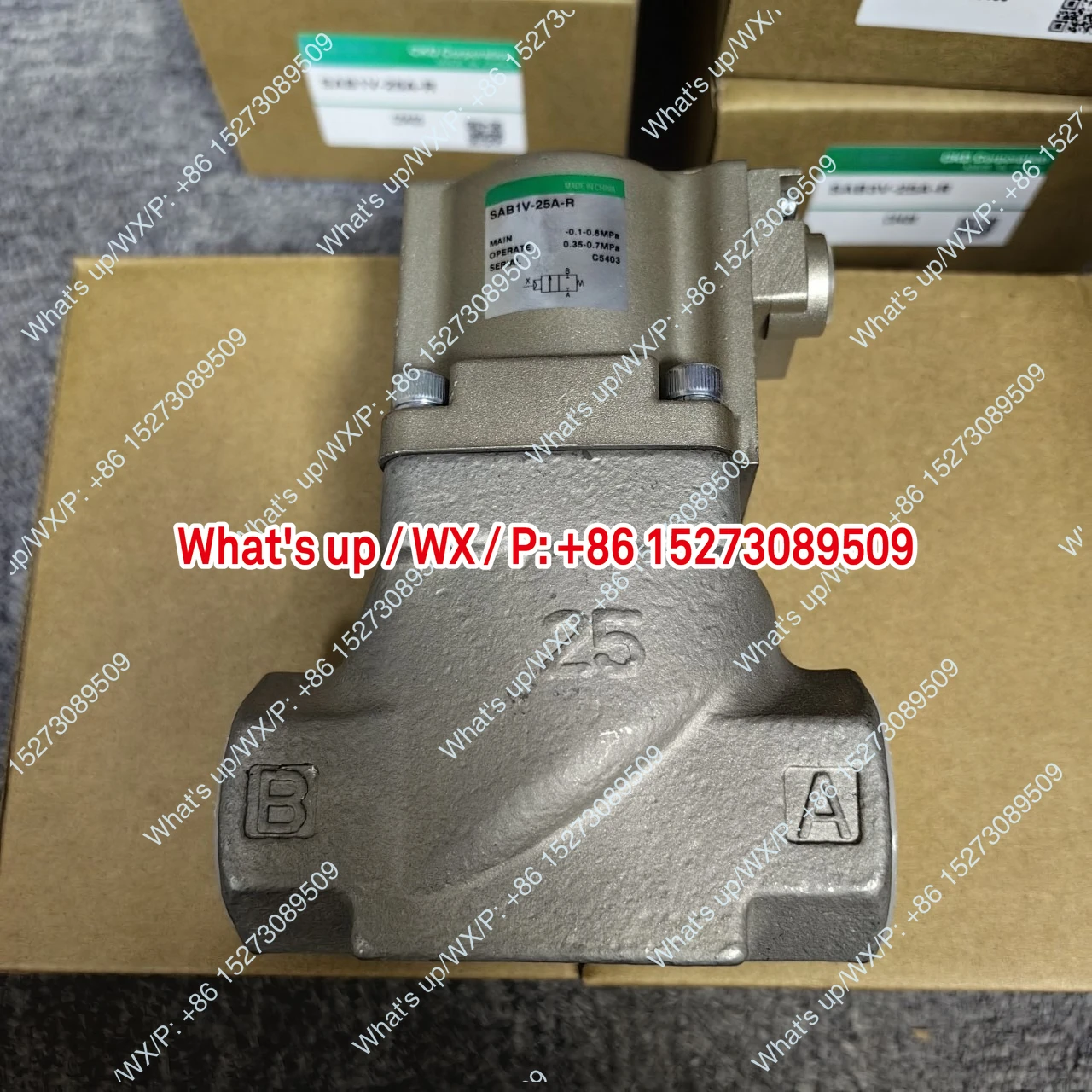 SAB1V-25A-R Ckd Pne…