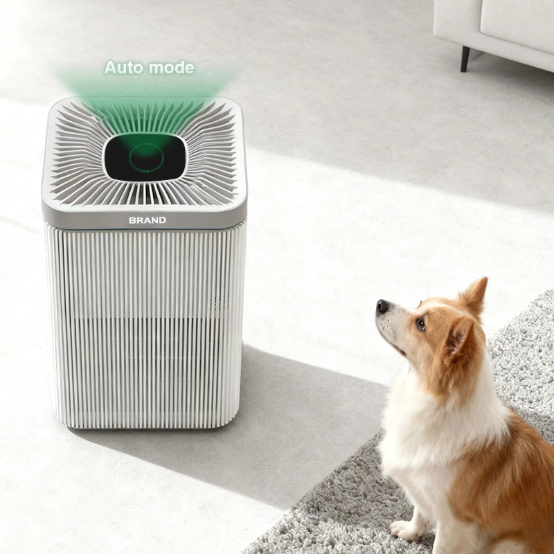 Smart Home Hepa Air Purifier Pets Adjustable Wind Speed Competitive Prices Low Noise Advanced Technology H13 Filter Air Cleaner