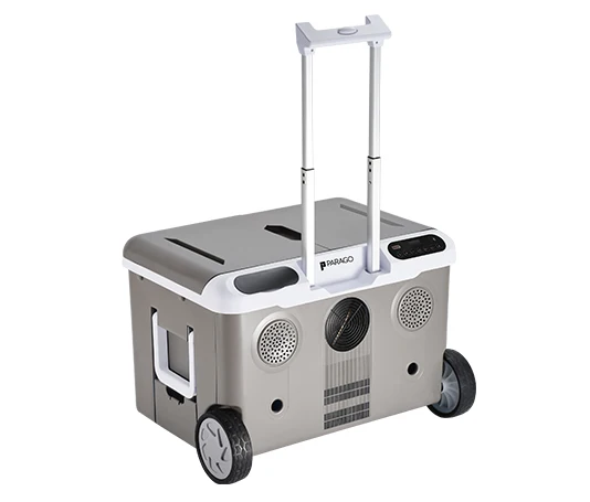 Factory Price 36L Car/ Home Dual Use 12/24v Mini Car Refrigerator, Portable Car Refrigerator