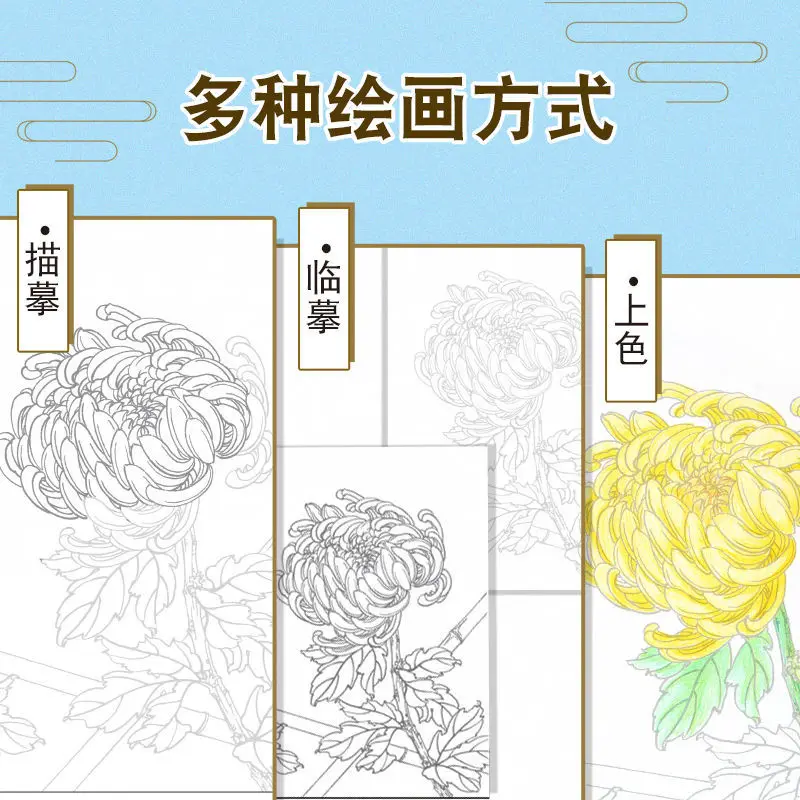 Tracing and Coloring Chinese Painting Beginner Tracing Book Flowers, Birds and Fish Drawing Book Beginner's Workbook
