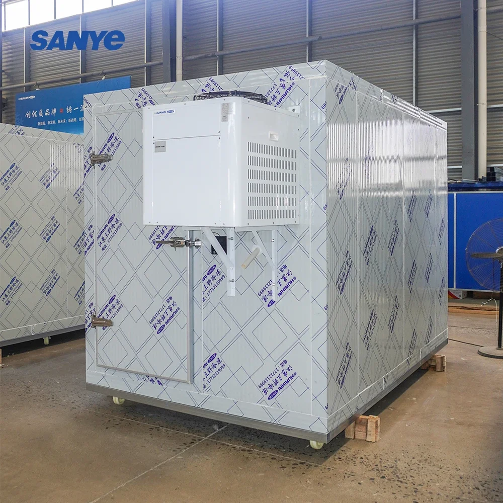 Supply Cold Room Storage Ice Box Cold Room -18 Degree Condensing Unit Coldroom