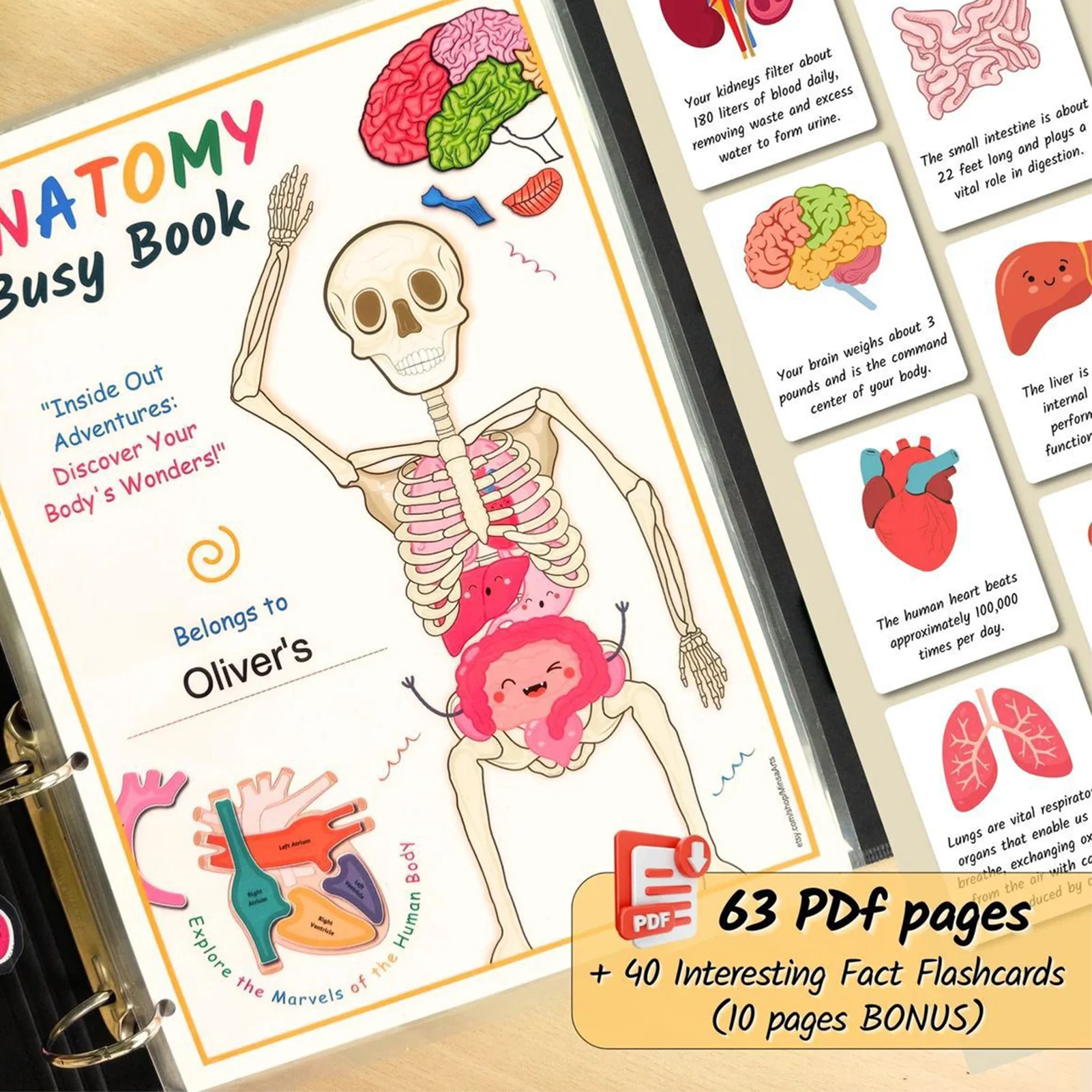 Classic Human Body Activity Book Fun Educational Guide with Color Pattern for Boys Girls Teenagers Students