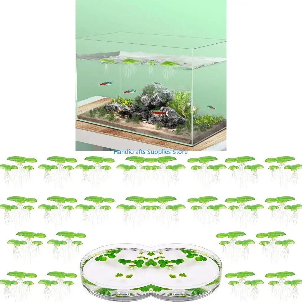 R1WA 2 Pack Plastic Water Surfaces Floating Plant Realistic Aquarium Decors Improves Habitat