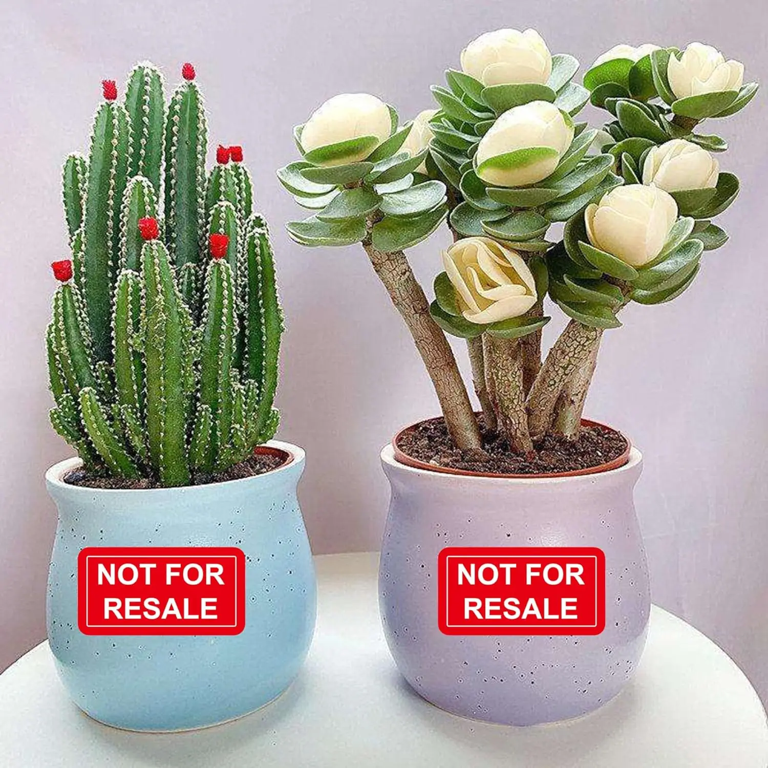 Stiker Tidak Dapat Dijual Kembali 1 x 2 Inci Label Tidak Dapat Dijual Kembali untuk Inventaris, 500 Pcs Per Gulungan Stiker Inventaris