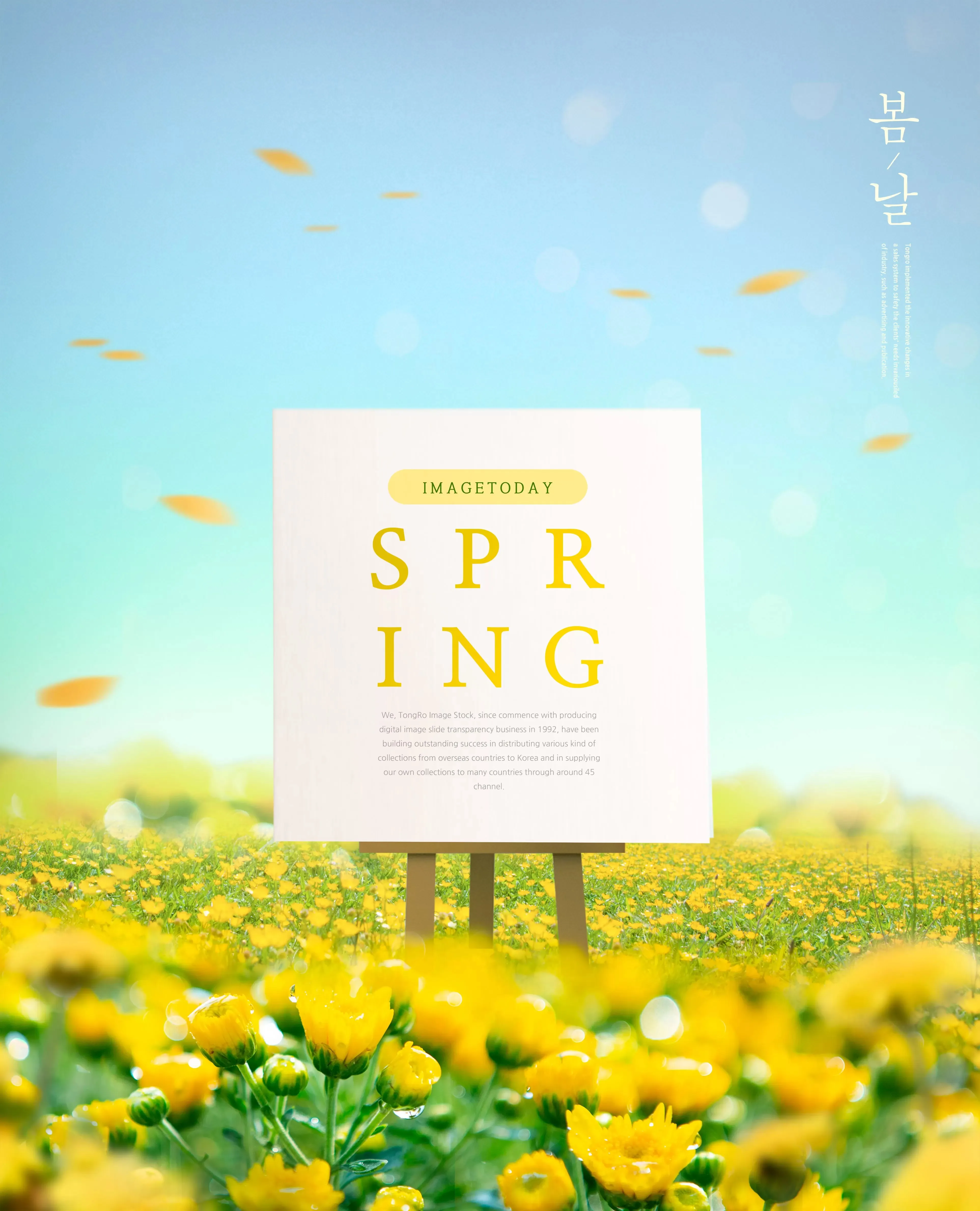 Wpl 1/16 Military T…