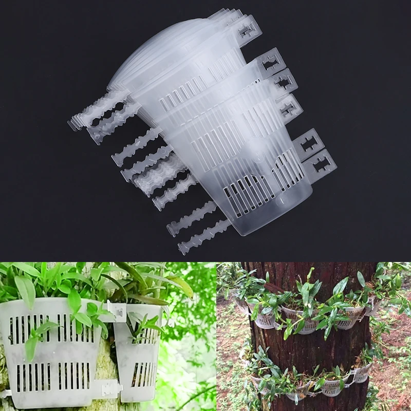 

10pcs Orchid Planting Boards With Root-Control & Aeration Dendrobium Mounting Panels For Bonsai Indoor/Outdoor