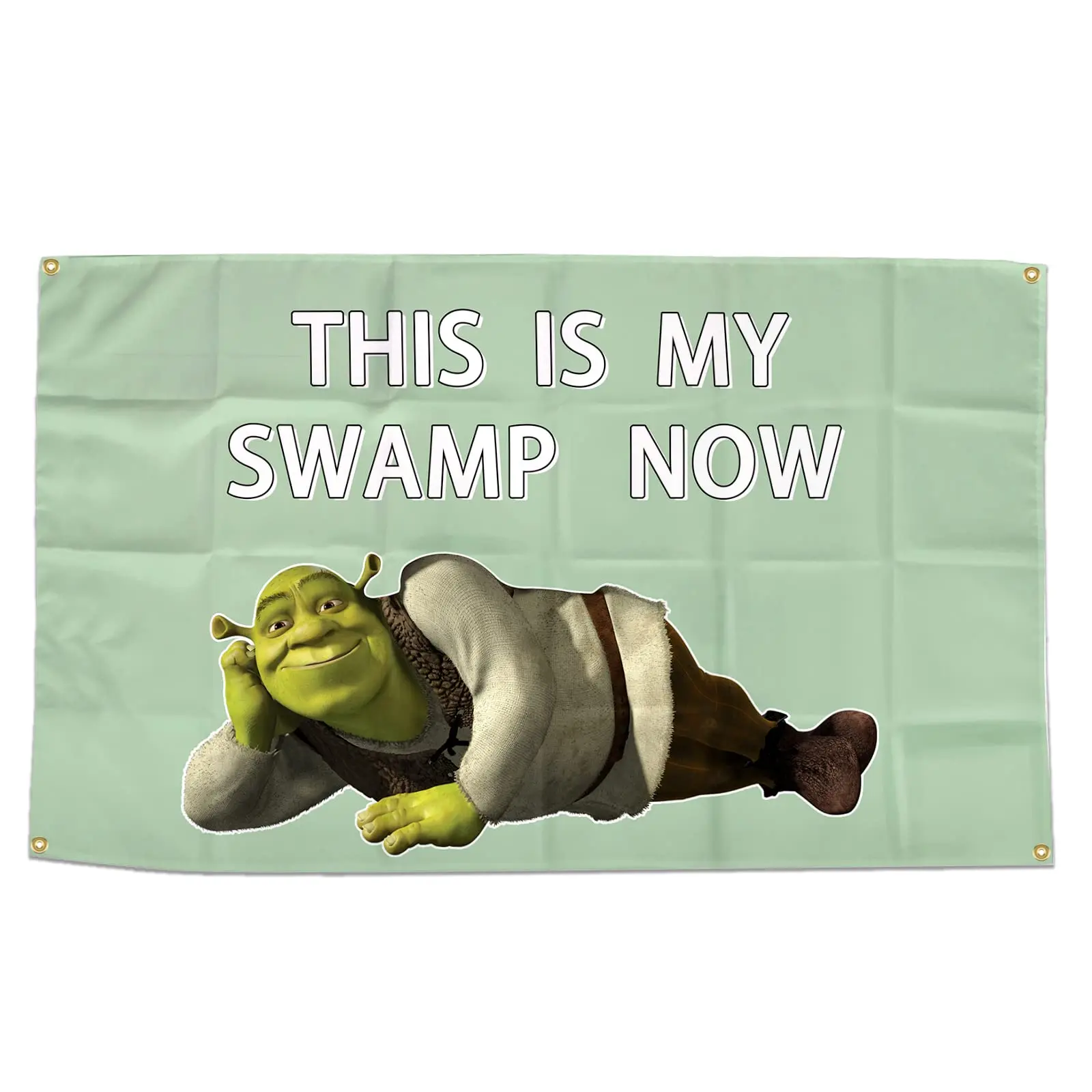 This Is Swamp Now Funny Flag 3  5 Feet With Four Brass Buttonholes For Hanging Suitable For Indoor And Outdoor University Dorm