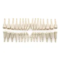 Modelo de dientes dentales extraíble, Compatible con KaVo Basic, mecanismo de retención de dientes, práctica y enseñanza