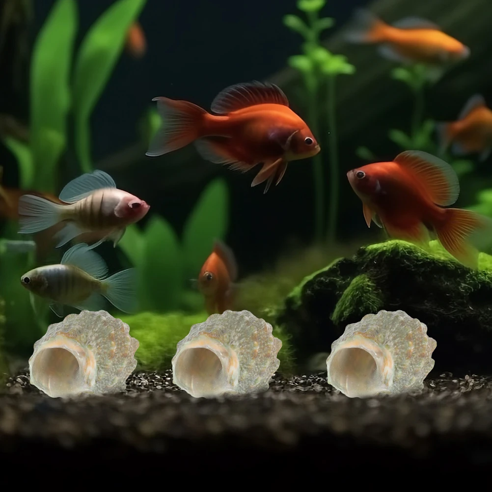 

100Pcs Conch Shell Decorations Realistic Hermit Crab Shells Fish Tank Aquarium Natural Landscape Ornament Conch Shells