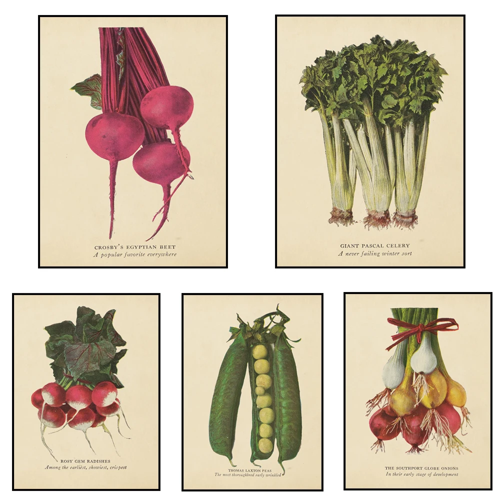 Verduras vintage, rábanos, frijoles verdes, espárragos, remolacha, cebolla, impresiones verdes, arte botánico, carteles de cocina, regalos de cocina