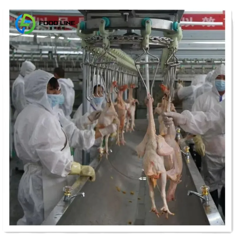 Customized Slaughterhouse Chicken Screw Chiller Different Capacity Automatic Chicken Slaughtering Machine Line