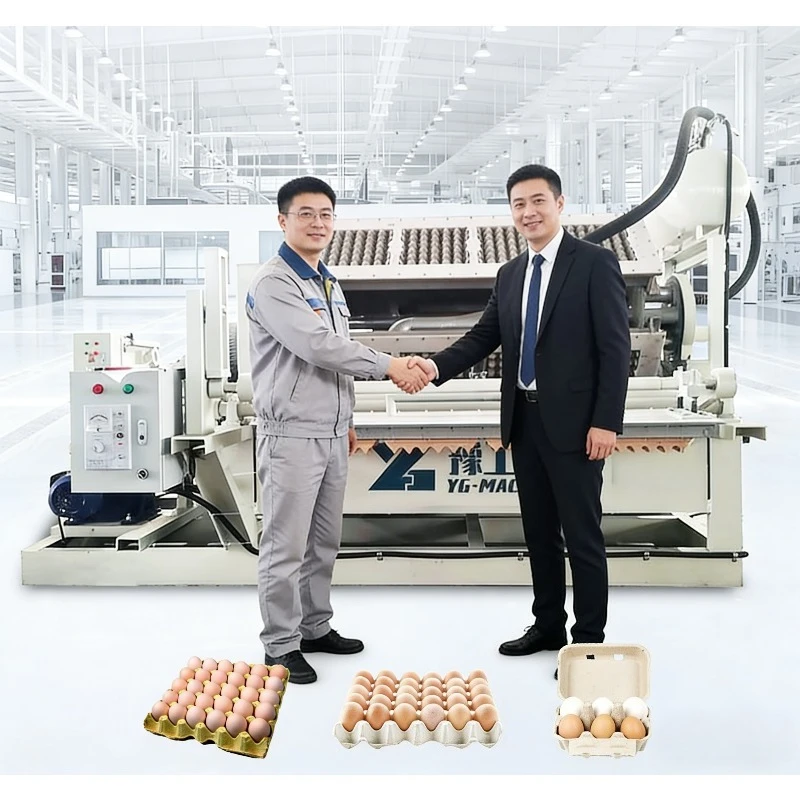 Small Business Full Automatic Egg Tray Machine Egg Tray Production Line