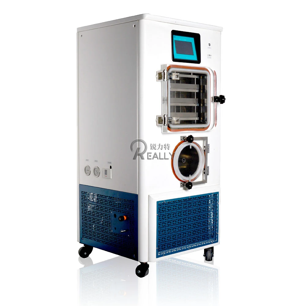 凍結乾燥真空凍結乾燥機、食品用脱水機、商用機械、野菜と果物、リンゴ、キウイ、チップ、0.2㎡