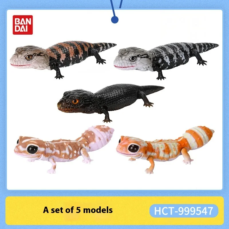 Bandaitwisted Egg Biological Map Wall Lizard Tailed Leopard Gecko Lizard Tumor Tailed Guard Lespetit Simulation Movable Figure