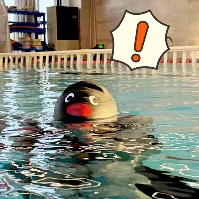 Swimming Hat Cool Cute Pinguin Swimming Cap Cartoon Funny Hat The Coolest Guy In The Pool Costume Party Unisex Chic Swimming Hat