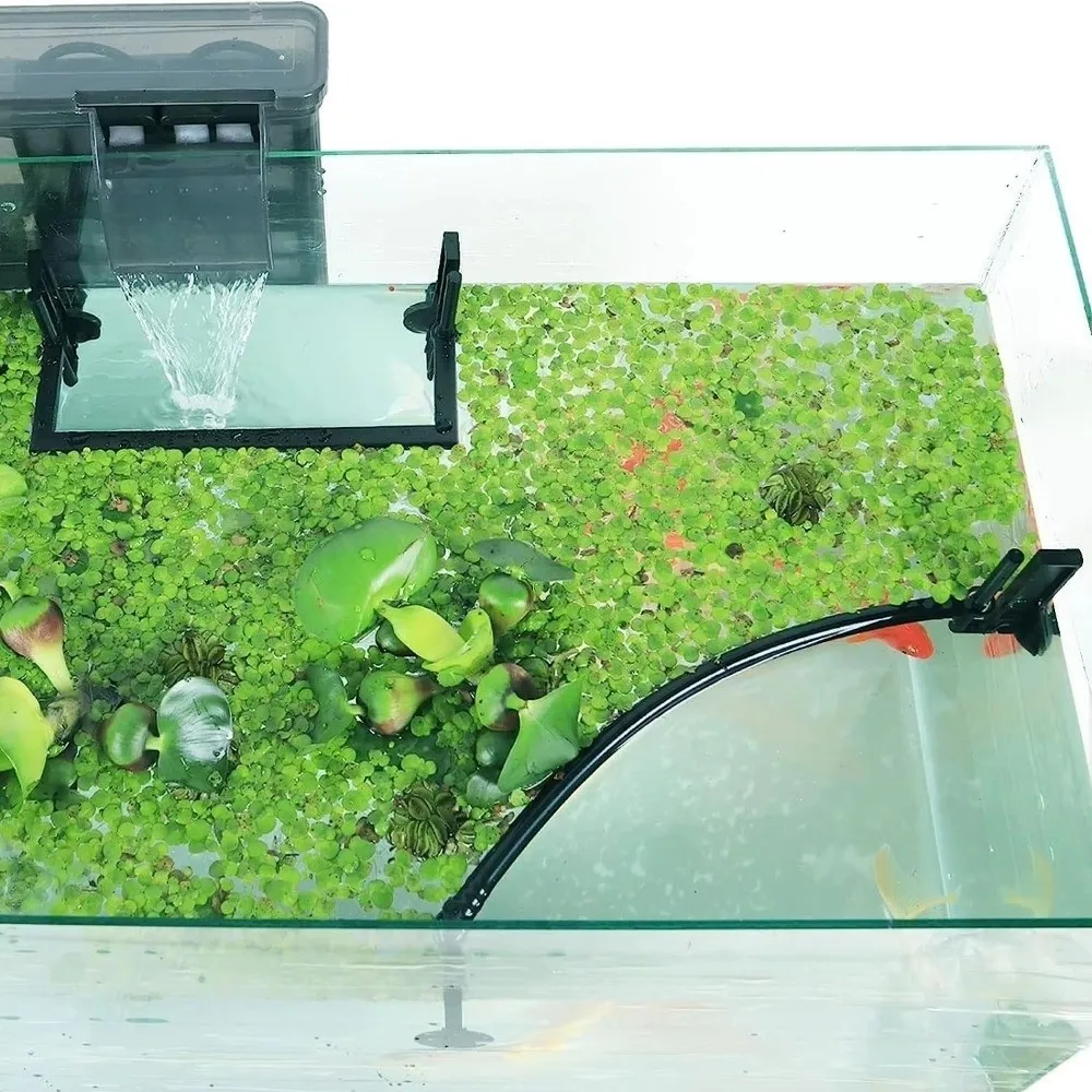 Thumbnail 3 - #19 Top 50 Fish Feeders Worth Buying In 2026